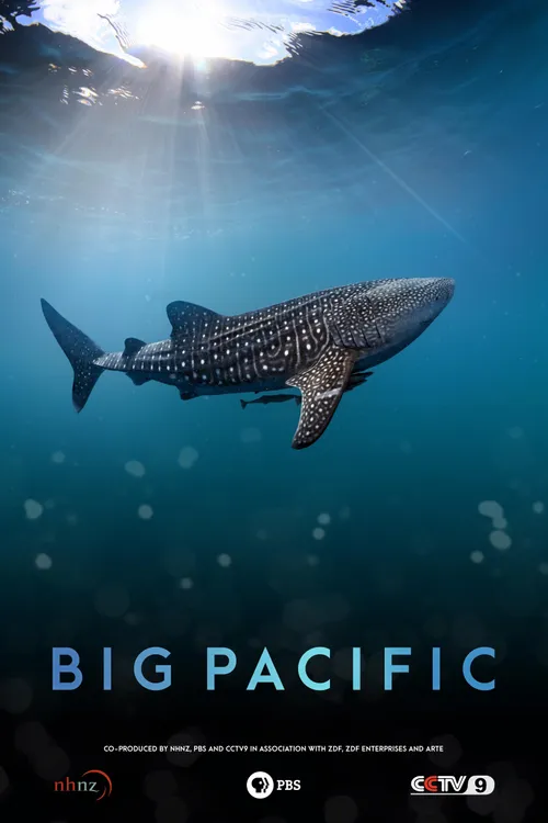 Big Pacific