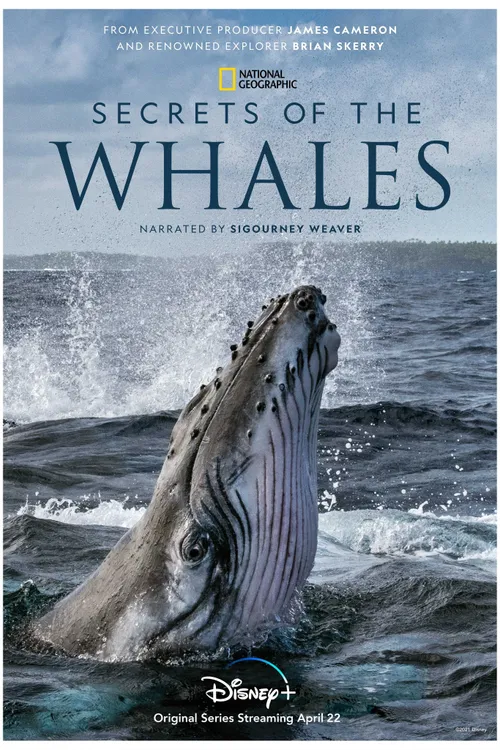 Secrets of the Whales