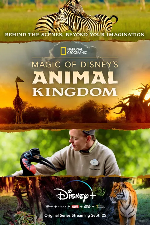 Magic of Disney's Animal Kingdom