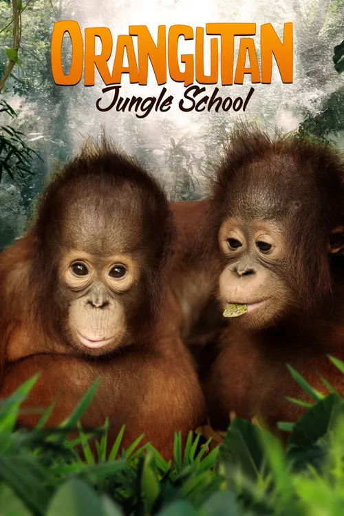 Orangutan Jungle School