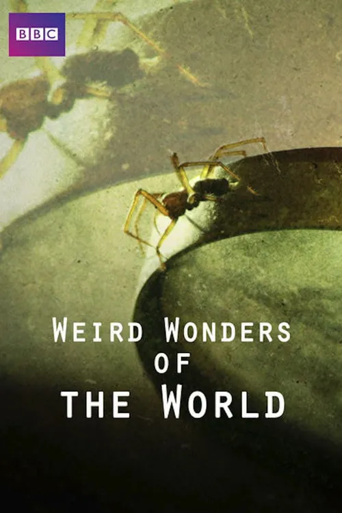 Weird Wonders of the World