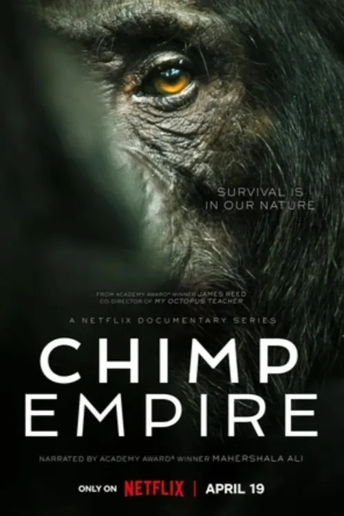 Chimp Empire