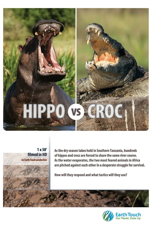 Hippo vs Croc