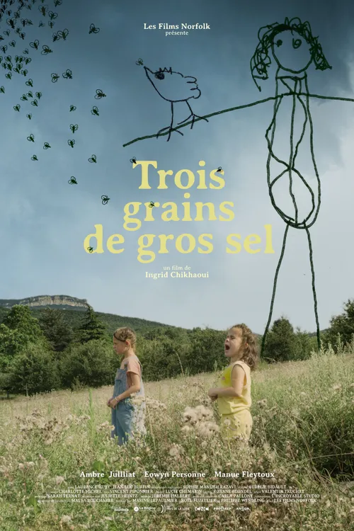 Trois grains de gros sel