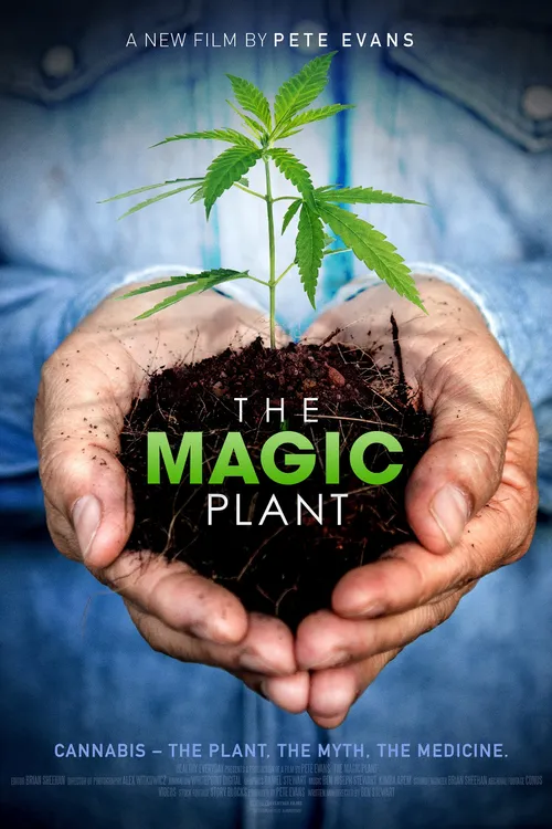 The Magic Plant