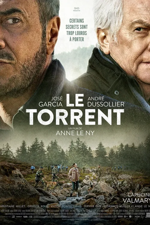 Le torrent