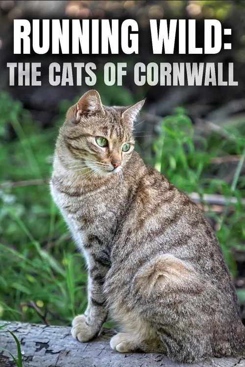 Running Wild: The Cats of Cornwall