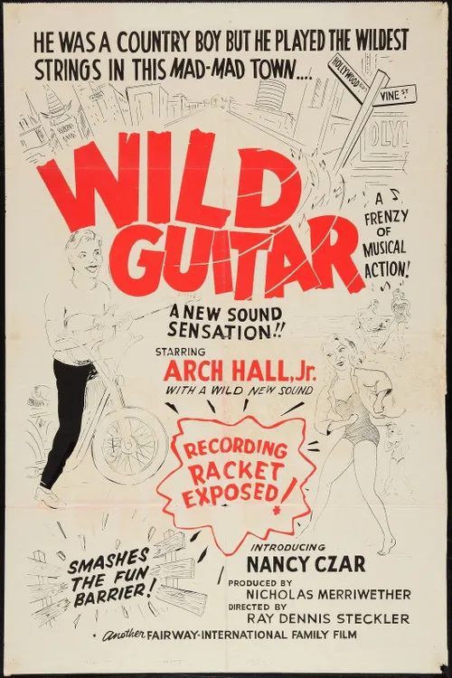 Wild Guitar